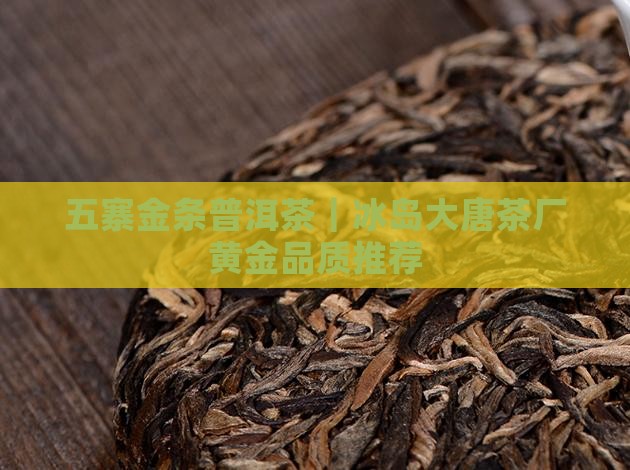 五寨金条普洱茶｜冰岛大唐茶厂黄金品质推荐