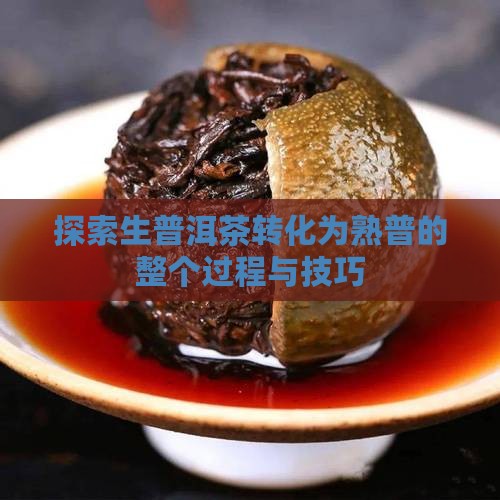 探索生普洱茶转化为熟普的整个过程与技巧