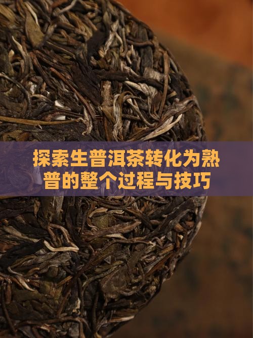 探索生普洱茶转化为熟普的整个过程与技巧