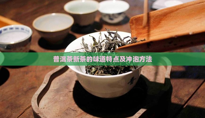 普洱茶新茶的味道特点及冲泡方法