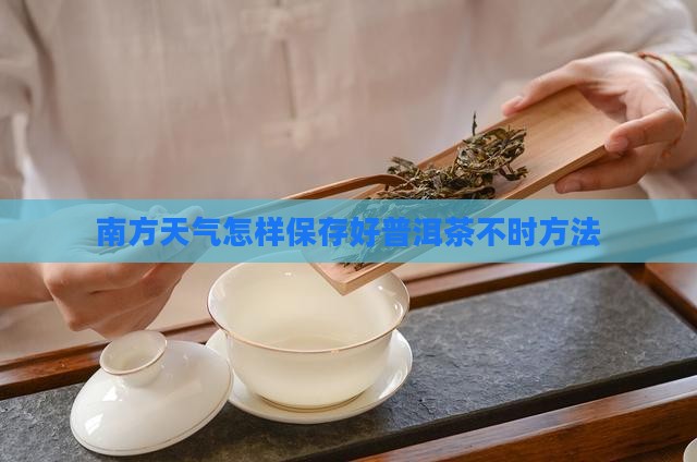 南方天气怎样保存好普洱茶不时方法