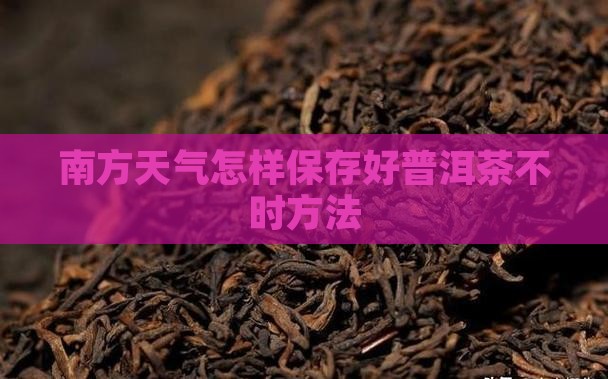 南方天气怎样保存好普洱茶不时方法