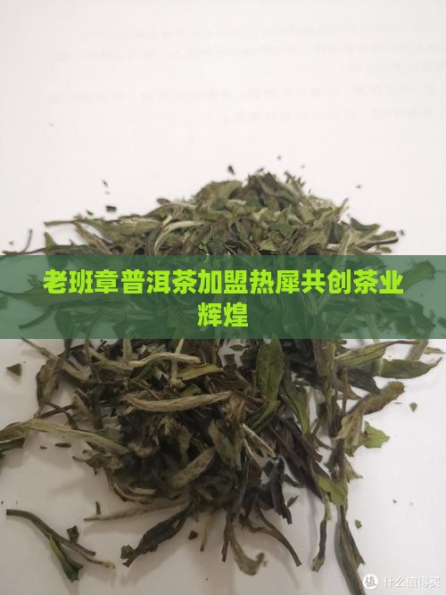 老班章普洱茶加盟热犀共创茶业辉煌