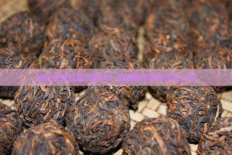 琥珀金芽是普洱茶吗？全面解析其特点与分类