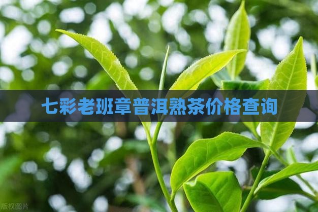 七彩老班章普洱熟茶价格查询