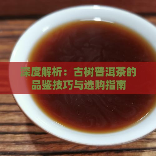 深度解析：古树普洱茶的品鉴技巧与选购指南