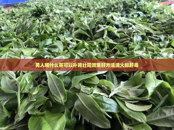 男人喝什么茶可以补肾壮阳效果好方法清火排肝毒