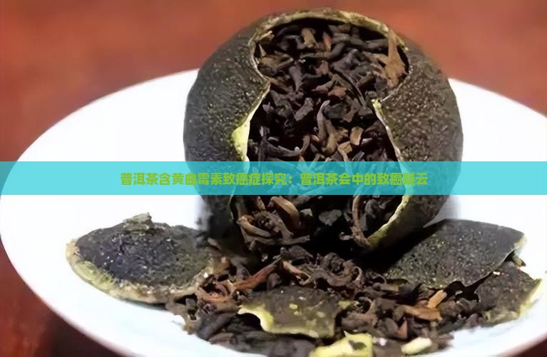 普洱茶含黄曲霉素致癌症探究：普洱茶会中的致癌疑云