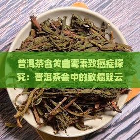 普洱茶含黄曲霉素致癌症探究：普洱茶会中的致癌疑云