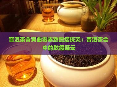普洱茶含黄曲霉素致癌症探究：普洱茶会中的致癌疑云