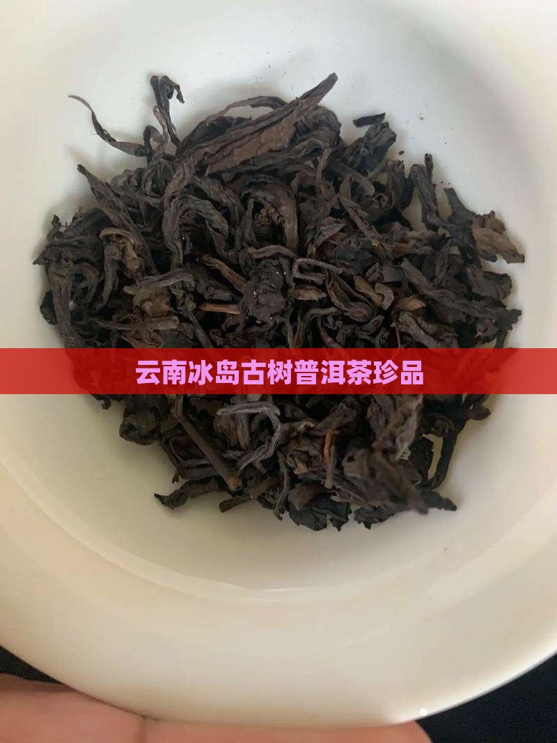 云南冰岛古树普洱茶珍品