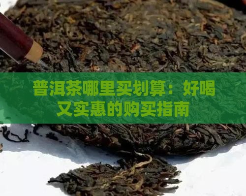 普洱茶哪里买划算：好喝又实惠的购买指南