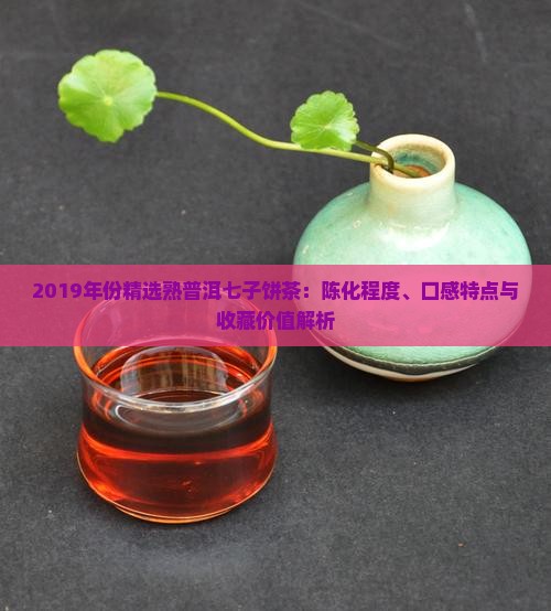 2019年份精选熟普洱七子饼茶：陈化程度、口感特点与收藏价值解析