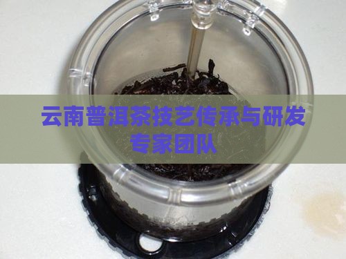 云南普洱茶技艺传承与研发专家团队