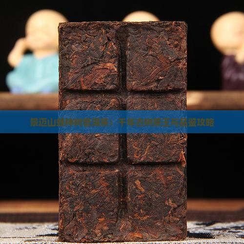 景迈山蜂神树普洱茶：千年古树茶王与品鉴攻略