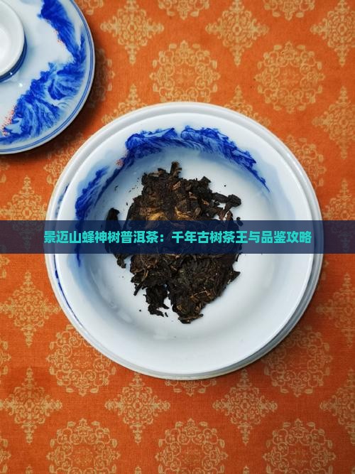 景迈山蜂神树普洱茶：千年古树茶王与品鉴攻略