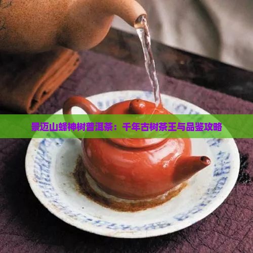 景迈山蜂神树普洱茶：千年古树茶王与品鉴攻略