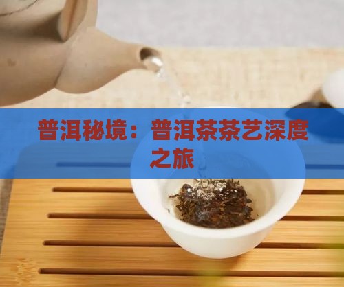 普洱秘境：普洱茶茶艺深度之旅