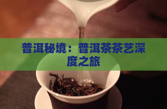 普洱秘境：普洱茶茶艺深度之旅