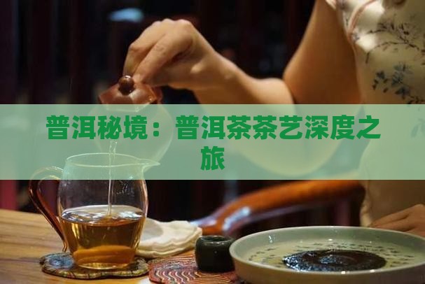 普洱秘境：普洱茶茶艺深度之旅