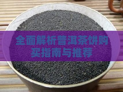 全面解析普洱茶饼购买指南与推荐
