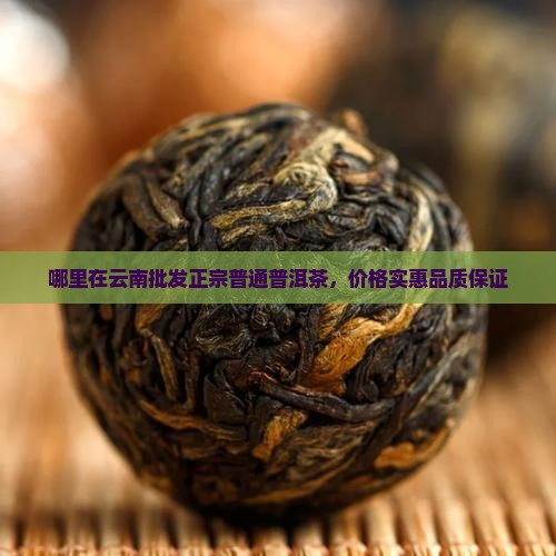 哪里在云南批发正宗普通普洱茶，价格实惠品质保证