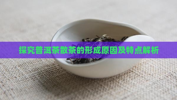 探究普洱茶散茶的形成原因及特点解析