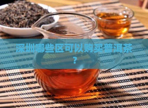 深圳哪些区可以购买普洱茶？