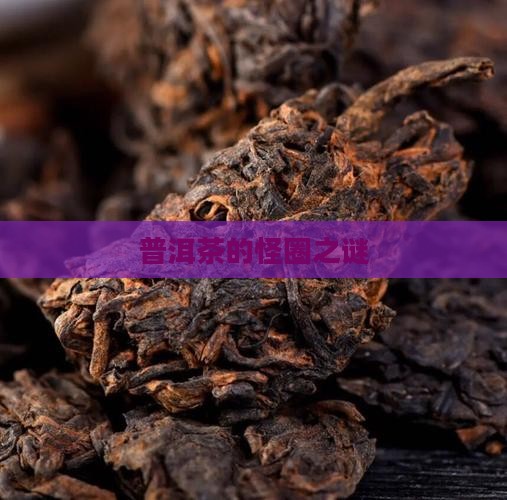 普洱茶的怪圈之谜