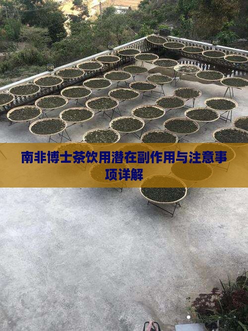 南非博士茶饮用潜在副作用与注意事项详解