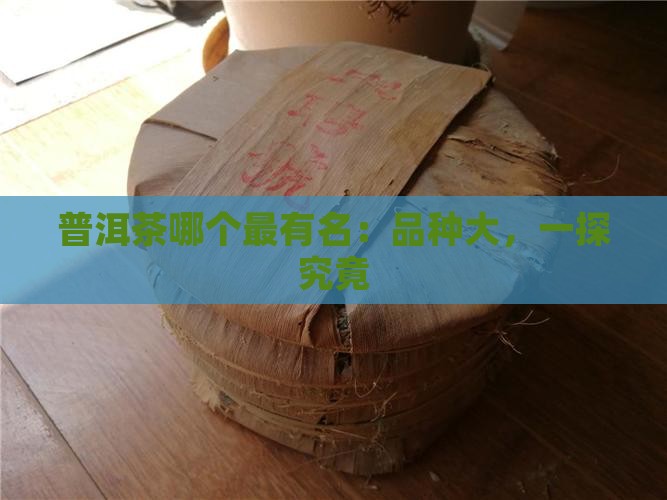 普洱茶哪个最有名：品种大，一探究竟