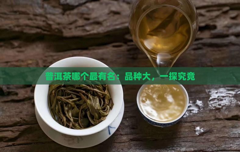 普洱茶哪个最有名：品种大，一探究竟