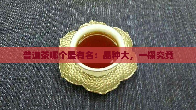 普洱茶哪个最有名：品种大，一探究竟