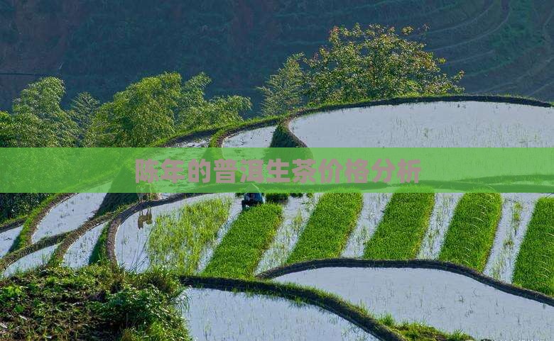 陈年的普洱生茶价格分析