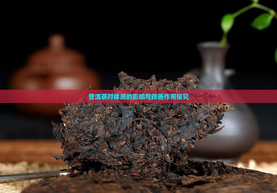 普洱茶对体质的影响与改善作用探究