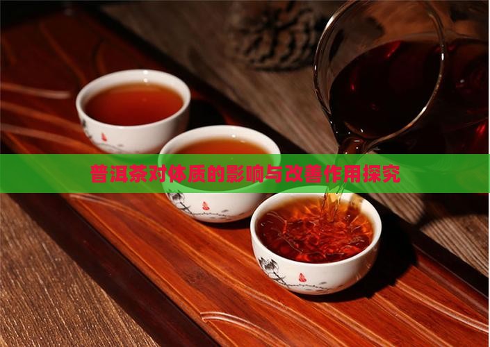 普洱茶对体质的影响与改善作用探究