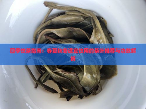 四季饮茶指南：春夏秋冬适宜饮用的茶叶推荐与功效解析