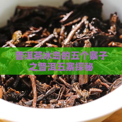 普洱茶冰岛的五个寨子之普洱五寨探秘