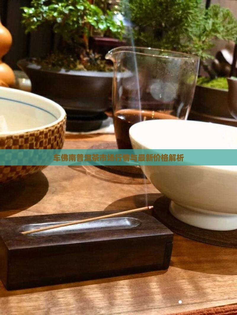 车佛南普洱茶市场行情与最新价格解析