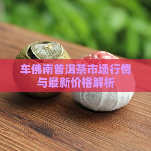 车佛南普洱茶市场行情与最新价格解析