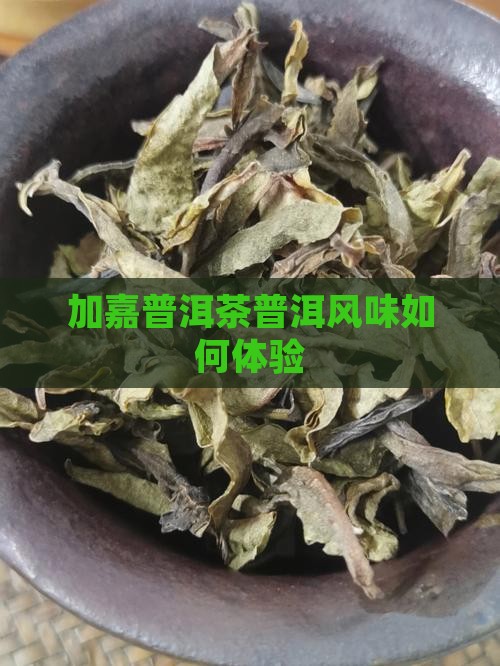 加嘉普洱茶普洱风味如何体验