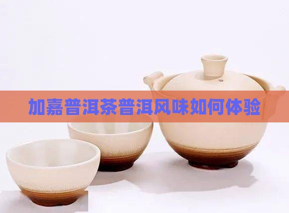 加嘉普洱茶普洱风味如何体验