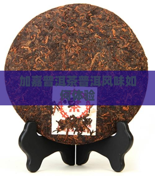 加嘉普洱茶普洱风味如何体验