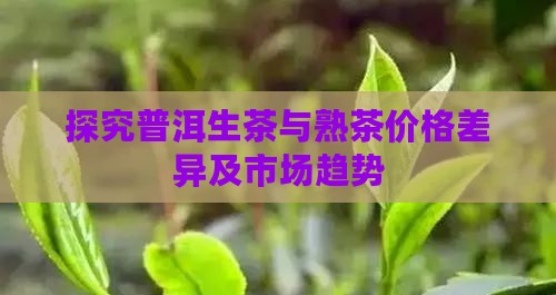 探究普洱生茶与熟茶价格差异及市场趋势