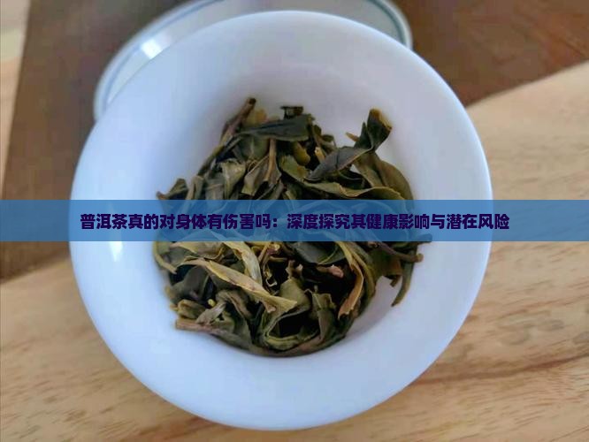 普洱茶真的对身体有伤害吗：深度探究其健康影响与潜在风险