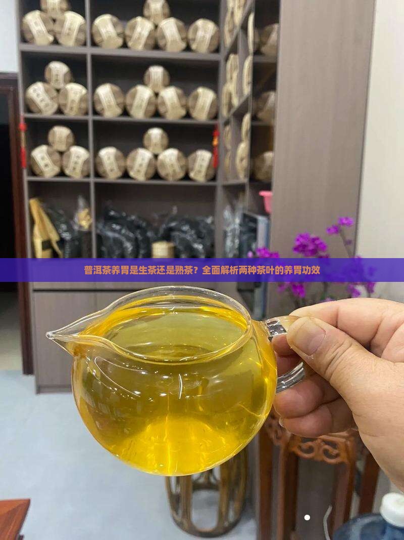 普洱茶养胃是生茶还是熟茶？全面解析两种茶叶的养胃功效