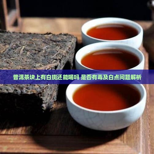 普洱茶块上有白斑还能喝吗 是否有毒及白点问题解析