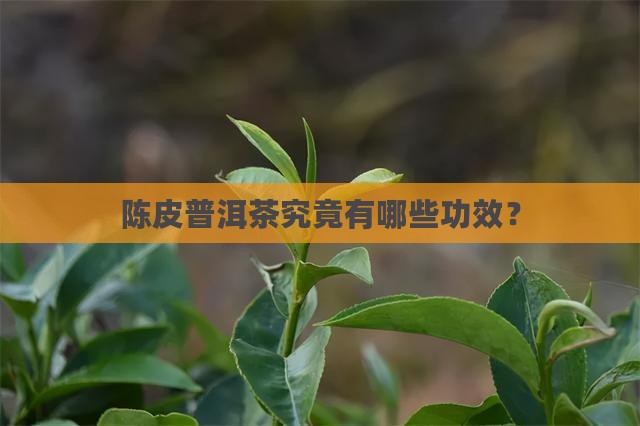 陈皮普洱茶究竟有哪些功效？