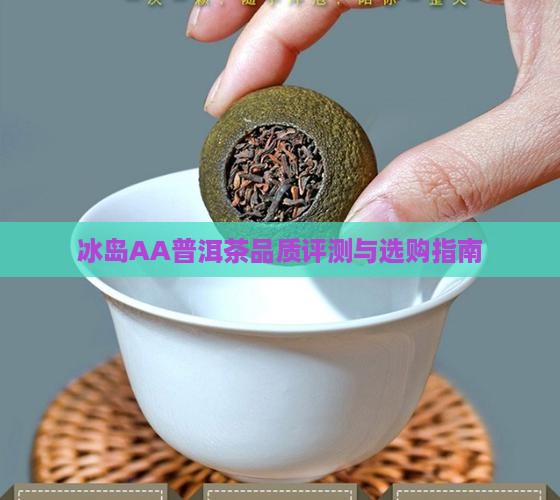 冰岛AA普洱茶品质评测与选购指南