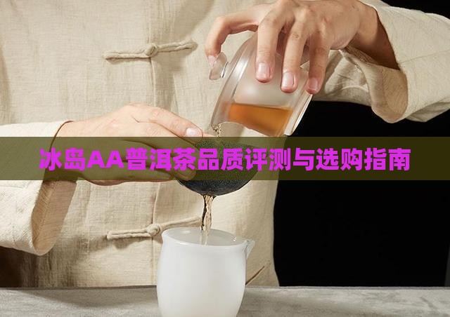 冰岛AA普洱茶品质评测与选购指南
